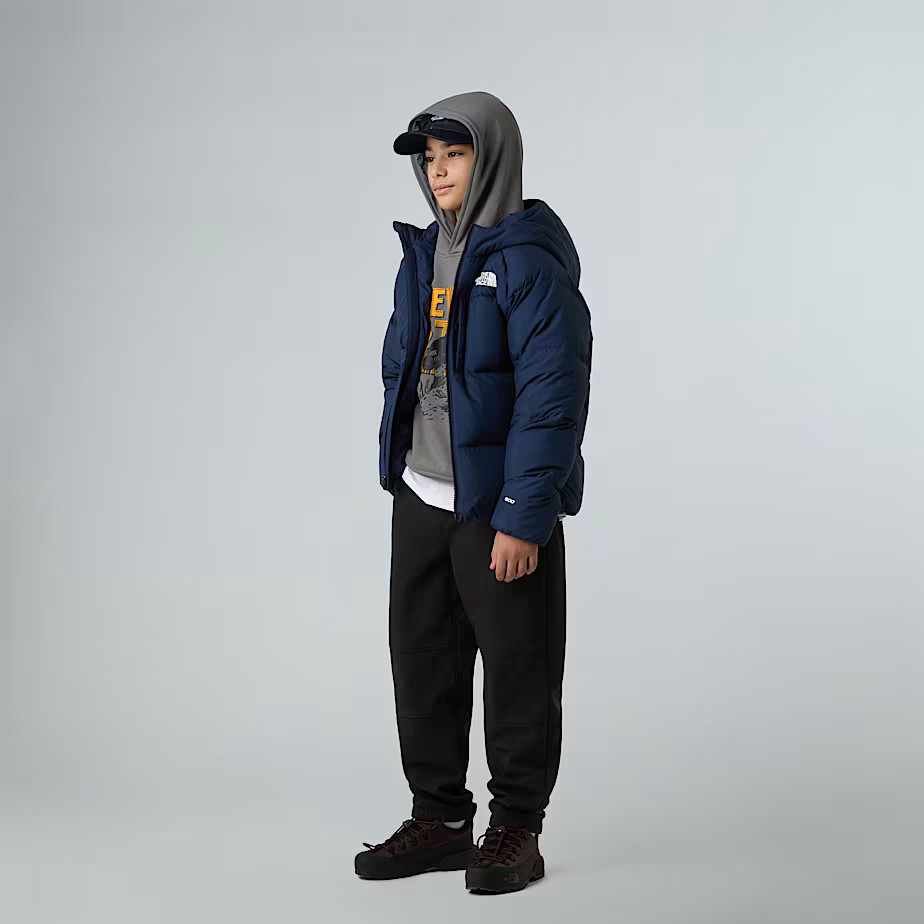 Giacca con cappuccio North Down da ragazzo THE NORTH FACE Urso